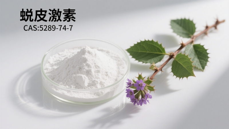 Ecdysterone CAS 5289-74-7